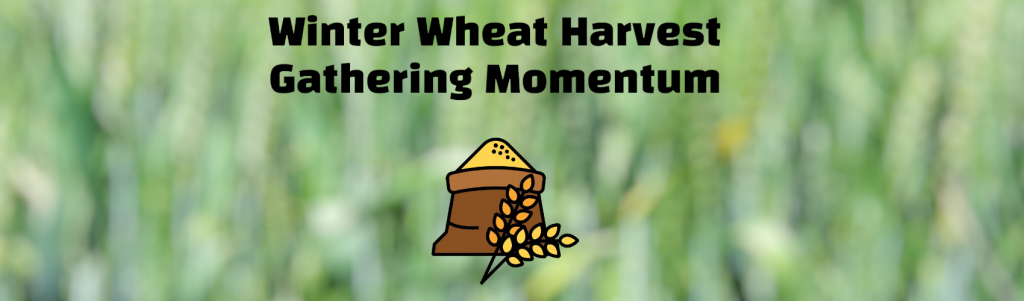 Winter Wheat Harvest Gathering Momentum - Curso de Mestrado e Doutorado em Agronomia da Unicentro